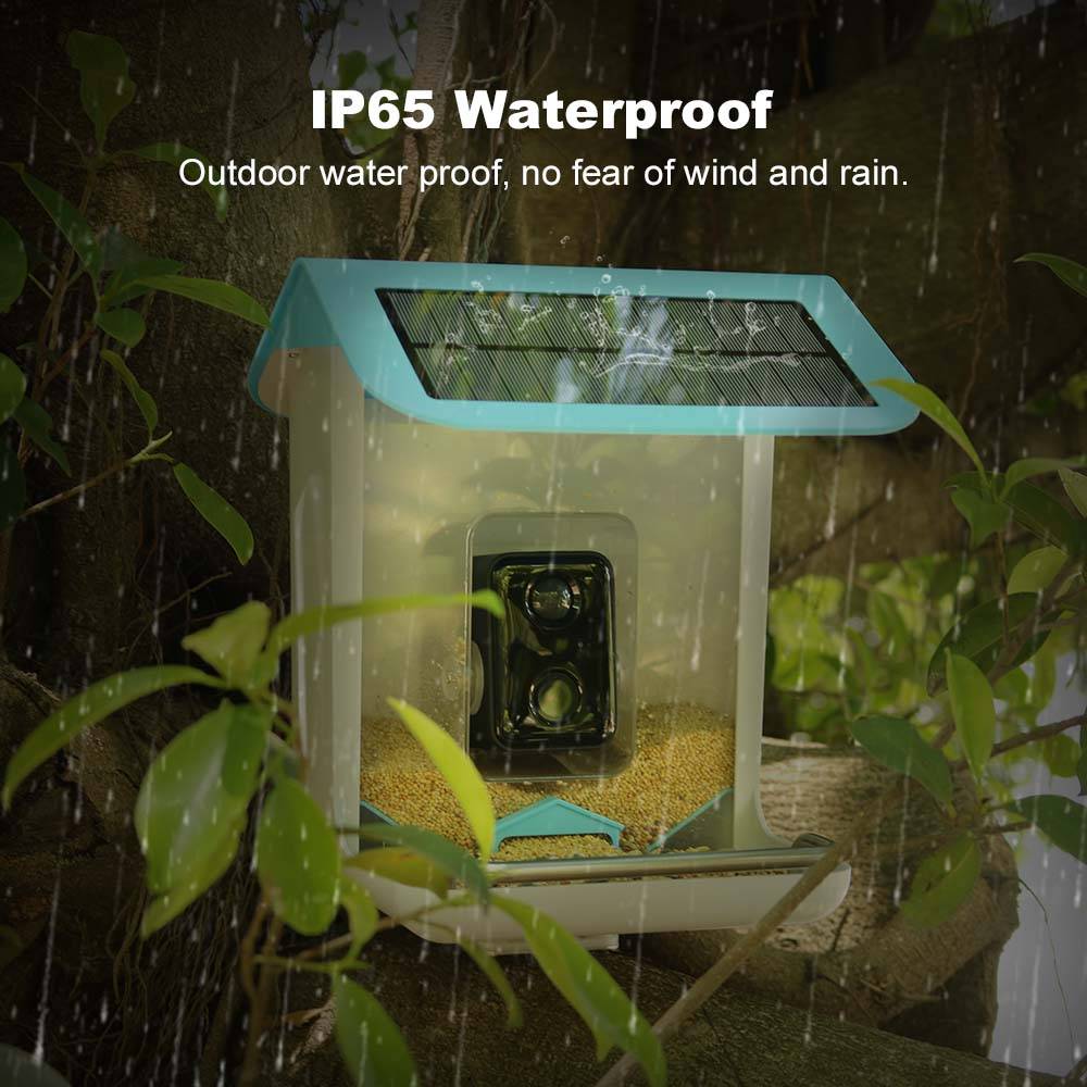 STLFOutdoor Wildlife Wifi Came - Smart Garden Video review and price