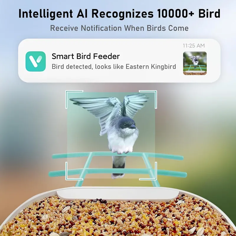 Smart Bird Feeder Camera with  - Smart Garden Video review and price