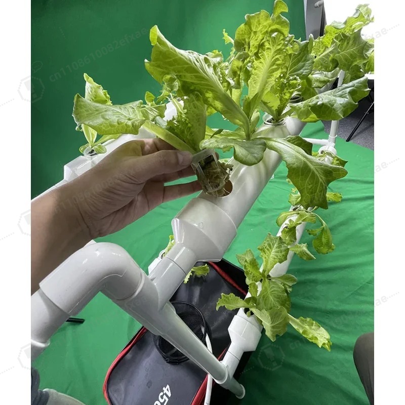 NFT Channel Hydroponics System - Smart Garden Hanging Baskets review and price