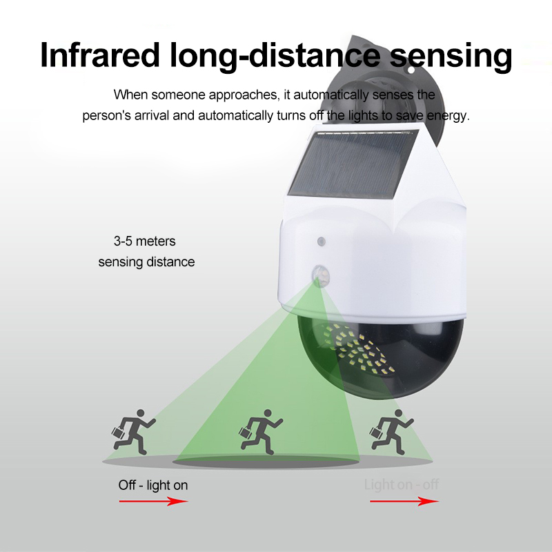Solar Simulation Camera Motion - Smart Zen Garden review and price