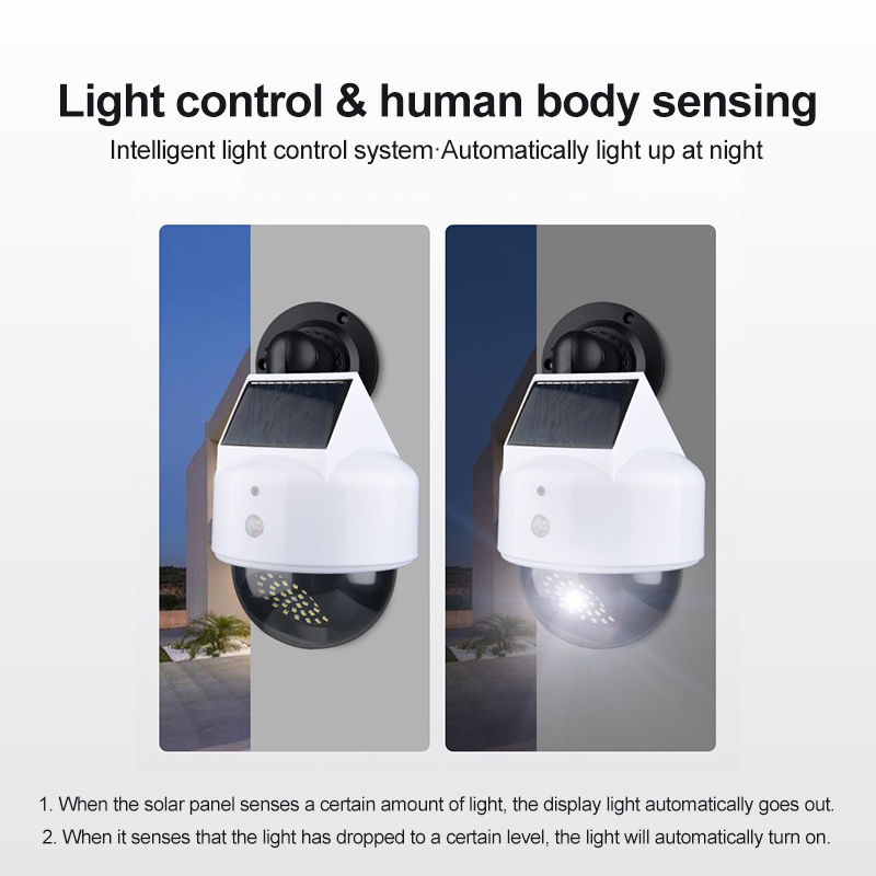 Solar Simulation Camera Motion - Smart Zen Garden review and price